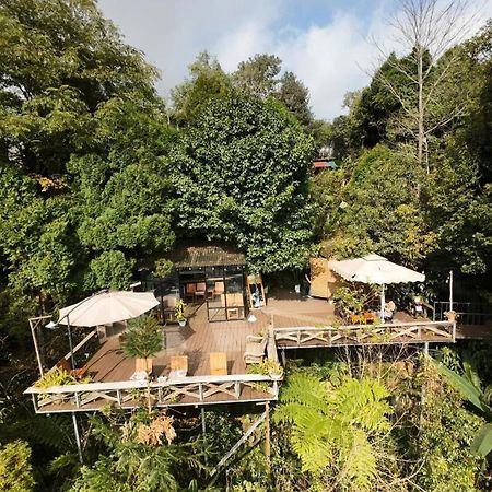 Sapa Jungle Homestay Exterior foto