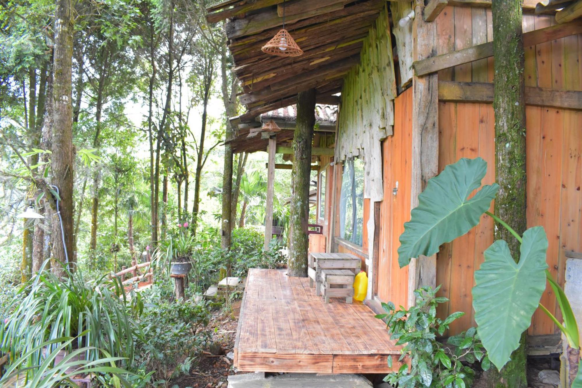 Sapa Jungle Homestay Exterior foto